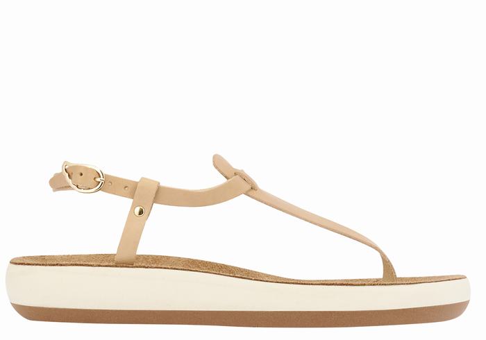 Sandales Bride Arrière Ancient Greek Sandals Lito Comfort   | NEB-2521587